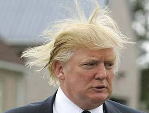 Donald Trump in the Wind