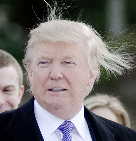 Donald Trump in the Wind